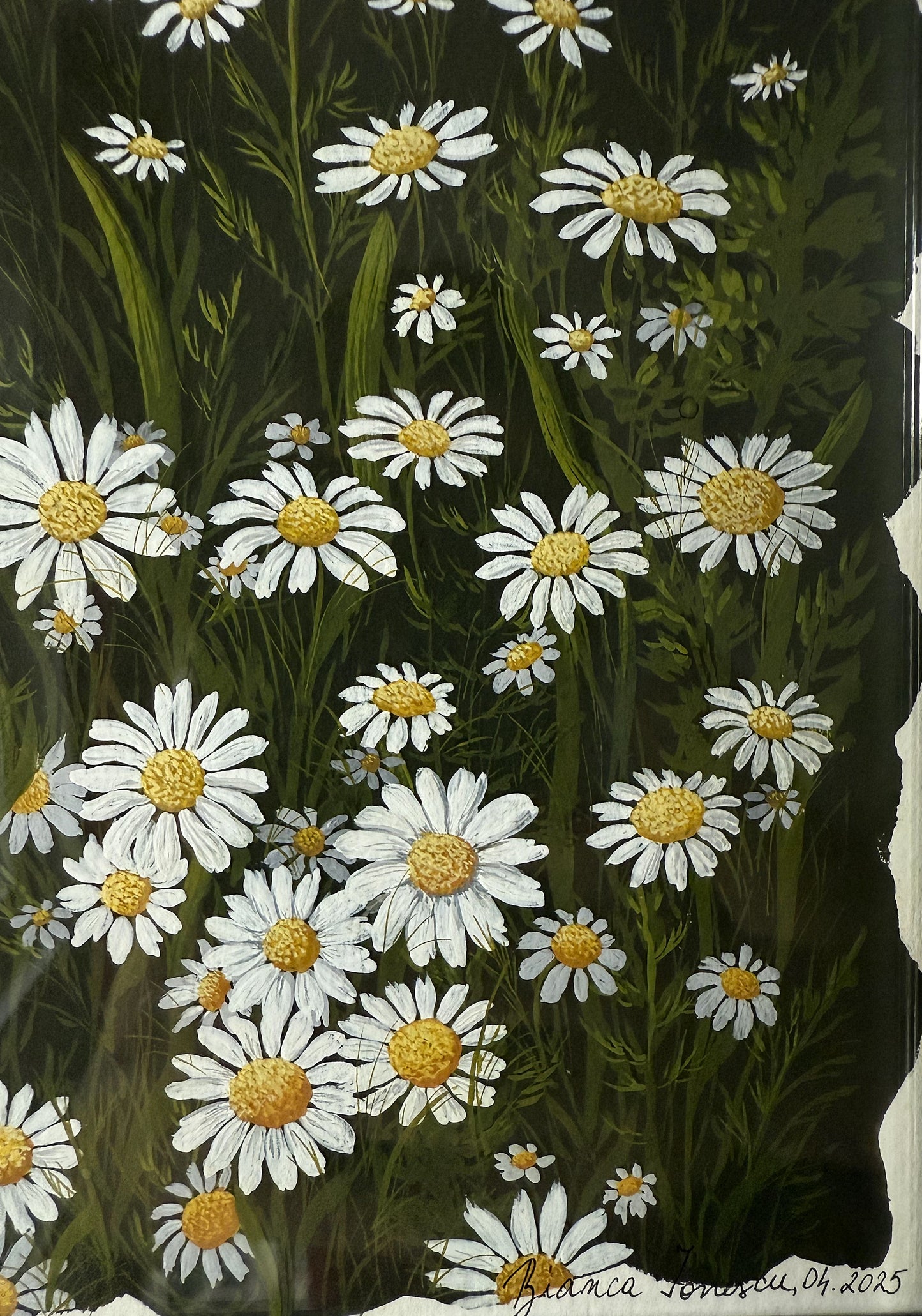 ORIGINAL FRAMED PAINTING "Chamomile Blossom"